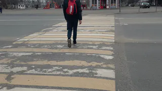 Шаг на «зебру» теперь не работает: вот в каких случаях водитель обязан уступить пешеходу и что ответить инспектору ГИБДД