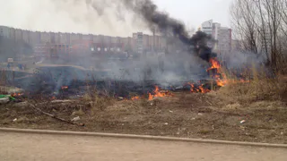 На улице Зубковой загорелась прошлогодняя трава