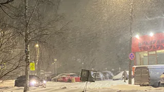 23 января в Коми с потеплением приходят метель и снег