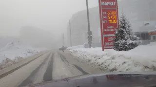 Аномальная жара в марте и холодный май: синоптики поменяли прогноз на весну 2025 года