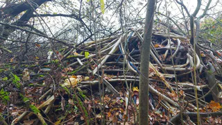 В Юрьев-Польском районе прокуратура требует ликвидировать свалку в лесу