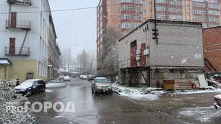 Зима отменяется надолго: Роман Вильфанд рассказал, будет ли снег на Новый год