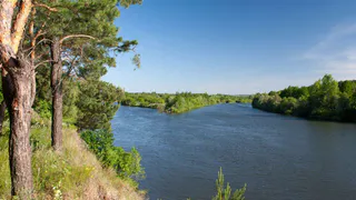 Пензенские спасатели вынесли на спинальном щите рыбака, повредившего ногу