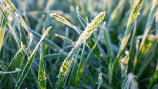 Жителей сразу нескольких областей предупредили о заморозках