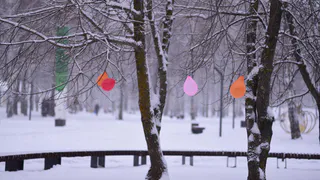 Нижнекамцы просят благоустроить парки и пригласить первостроителей на 60-летие города 