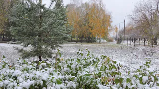 Синоптики рассказали, какой будет погода в Чувашии в рабочую субботу