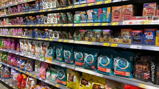 "Не травите этим кошек": в Роскачестве назвали самые худшие марки корма для питомцев