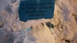 Снеговики-предупреждения: Жители Пензы борются с опасными пешеходными переходами