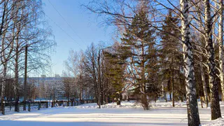 Морозы до –35 °C: Татарстан готовится к экстремальному похолоданию