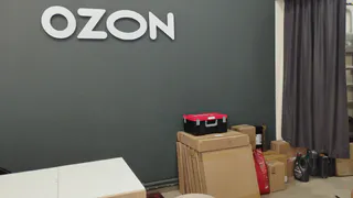 "Товар улетает моментом": Деревенские жители зарабатывают на Ozon* по 550 тысяч в месяц – нехитрый бизнес сулит миллионы