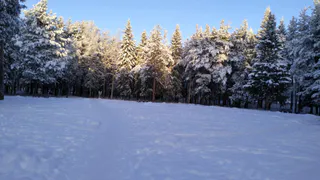 «Январь обещает быть аномальным». Синоптики сказали, к чему готовиться