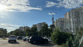 Придется менять даже действующие права: водителей ждет новый сюрприз с 1 сентября