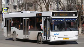 В Брянске увеличили число рейсов автобусов № 25 и № 37