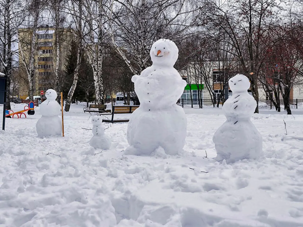 Тёплая, но снежная зима: прогноз профессора КФУ для Татарстана