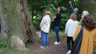 Судьбу 150-летнего дуба в ЦПКиО Рязани решат после научной экспертизы