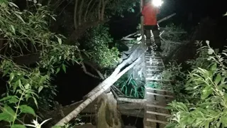 Пропавшего мглинского старика нашли мёртвым