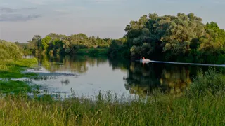 Жители брянского села подняли из Десны тело мужчины