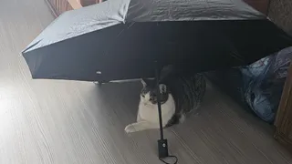 Грядут погодные сюрпризы: метеорологи объяснили, почему лето-2026 будет аномальным за весь 21 век