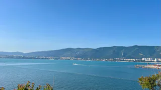 "МегаФон" обнулит трафик на сайт аэропорта Геленджика