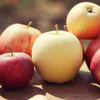 Всегда ела яблоки неправильно и, как выяснилось, теряла половину их пользы: теперь знаю, как надо