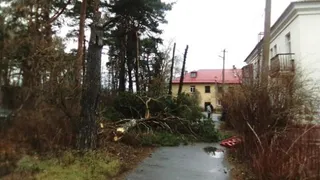 В Брянске устраняют последствия непогоды