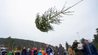 В воскресенье в Рязани будут метать новогодние елки