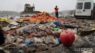 Контрабандные яблоки, продававшиеся на рязанском рынке, были уничтожены