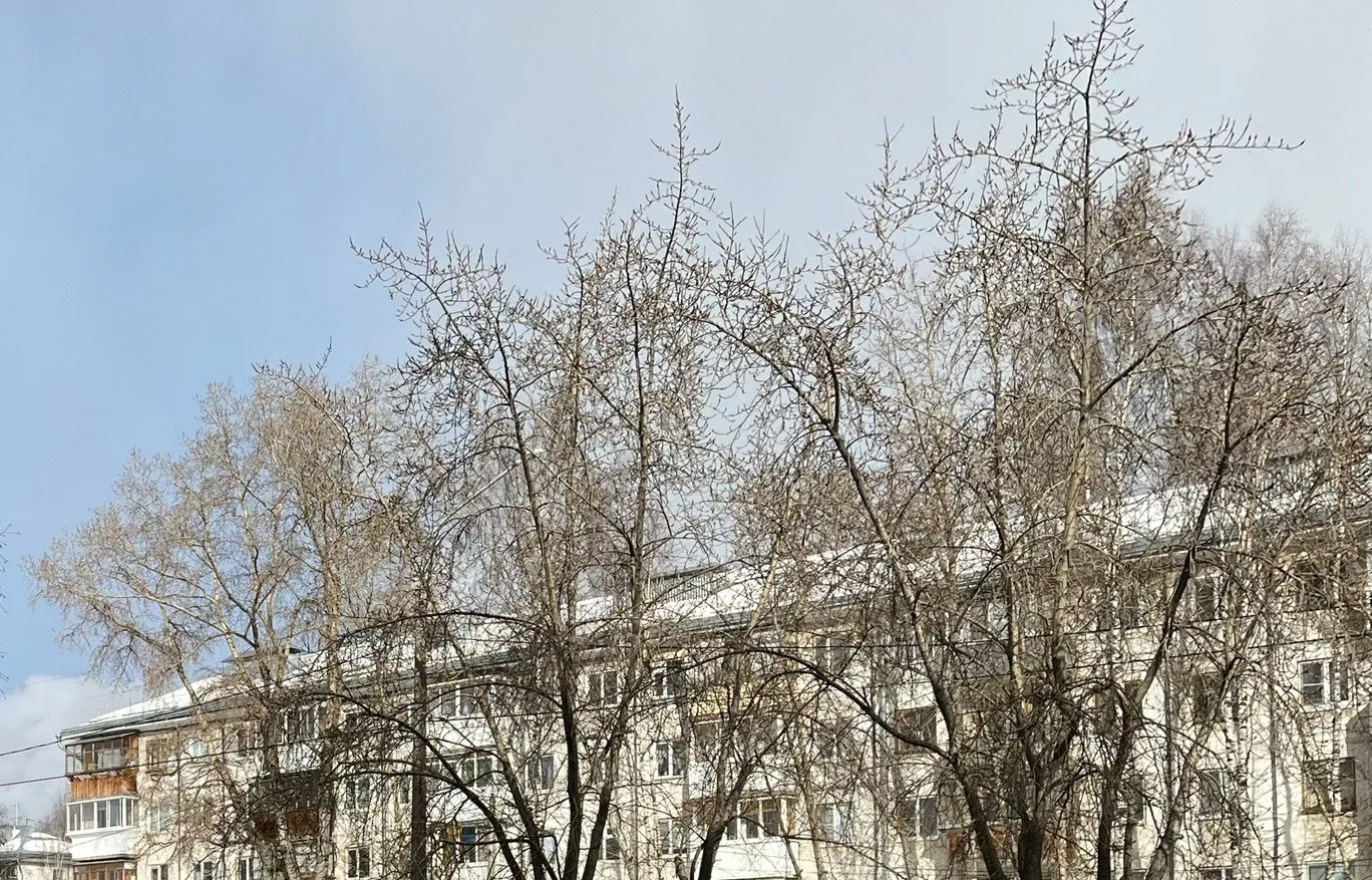 Прогулка под весенним солнцем: прогноз от синоптиков для Чувашии на 28 марта
