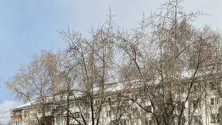 Прогулка под весенним солнцем: прогноз от синоптиков для Чувашии на 28 марта