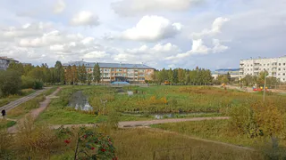 Синоптики рассказали о погоде в Коми в 1-й осенний день