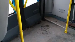 Рязанка недовольна грязными маршрутками