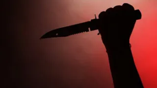 В Почепе мужчина зарезал собутыльника и скормил его челюсть собаке