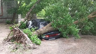 На центральную Россию обрушился мощный ураган. Чего ждать рязанцам?