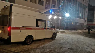 В Коми рассказали о судьбе жертв нападения медведя
