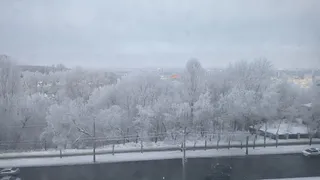 Синоптик рассказал, когда придет настоящая зима - названа точная дата