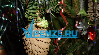 Стало известно, где в Пензе можно будет купить елку со скидкой