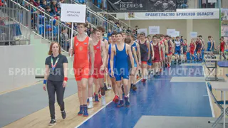 В Брянске начались соревнования по борьбе памяти Героя России Олега Ермакова