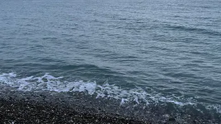 Жители Коми смогут отдохнуть на Чёрном море с учётом новых рекомендаций