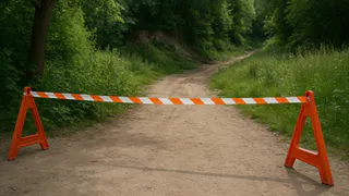 Во Владимире овраг на улице Фатьянова закроют для борьбы с грызунами
