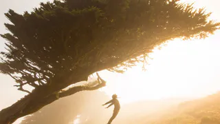 О погоде в Рязани - в выходные будет тепло и солнечно