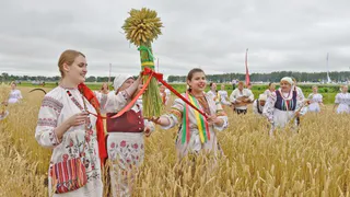 В середине июля в Брянской области пройдёт «День поля»