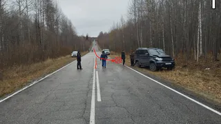 В Коми водитель не справилась с автомобилем и съехала в кювет