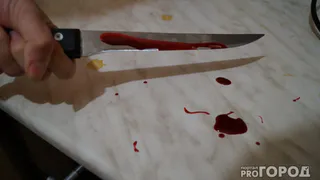 Жительница Коми убила подругу ножом во время пьяной ссоры