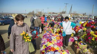 В Нижнекамске на Радоницу организуют автобусное движение
