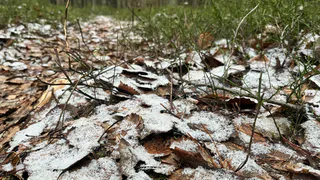 В Коми 10 ноября пройдёт снег и местами метель