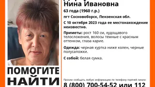 В Пензенской области разыскивают пропавшую 63-летнюю женщину