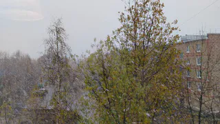 В Коми объявлено штормовое предупреждение: пришла зима