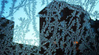 Instagram: на кого подписаться в Рязани?