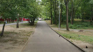 Спортивные и творческие выходные ожидают жителей Владимира в парках