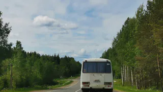  В Магнитогорске с 16 апреля начинают курсировать садовые автобусы